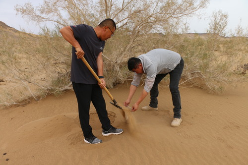 （1011）张斌武：35年只此青绿(分离(5485864)-20241011151102