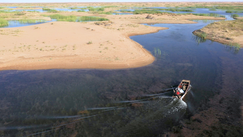 微信图片_20241029101101