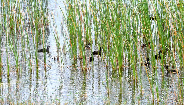 微信图片_20241029101105