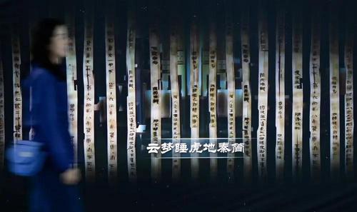 2024年4月15日，参观者在云梦县博物馆睡虎地秦简展厅参观。新华社记者 肖艺九 摄