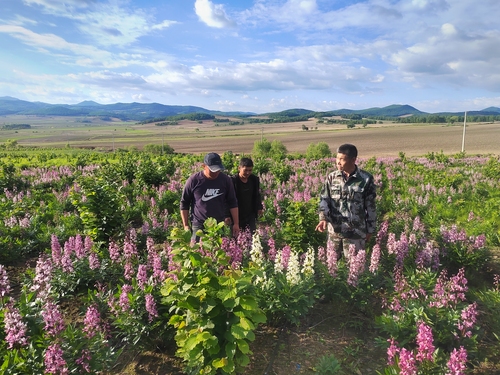 （1127）于洪利：科技兴农助力多&nbsp;树成(5786388)-20241127105218