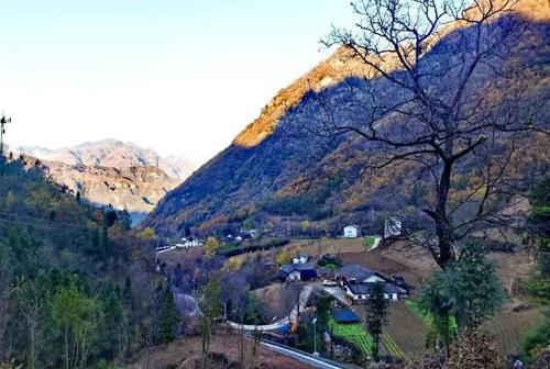 360截图20241218093236571