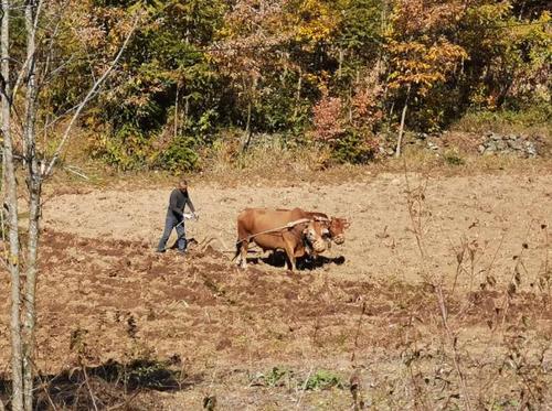 360截图20241218093250267