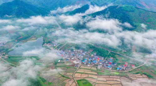 微信截图_20241218102328