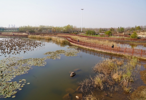 “红崖”协商，“商”出县域“海绵城市”新样本