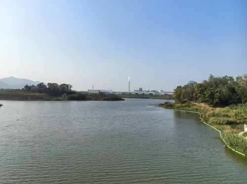 微信截图_20241219170958