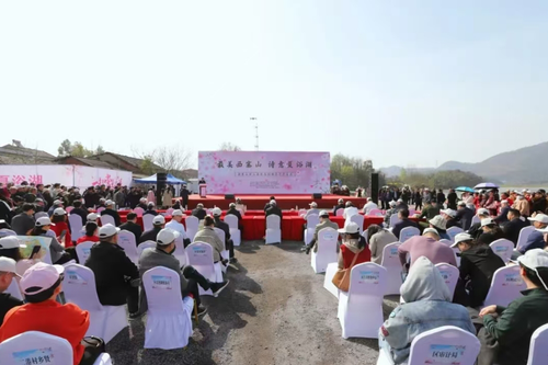 微信截图_20241219171110