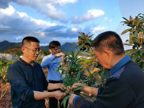 微信截图_20241220140901