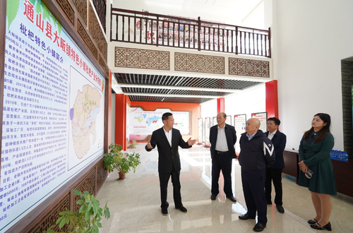 微信截图_20241220140909