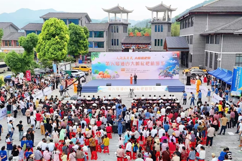 微信截图_20241220140916