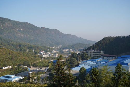 微信截图_20241220173036