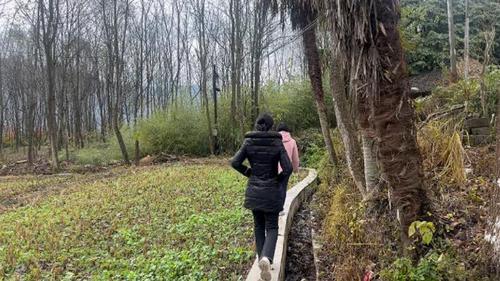 360截图20241230212032671