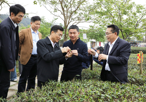 （7日6版 19，广东，牢记嘱托 履职尽(6091522)-20250107144448