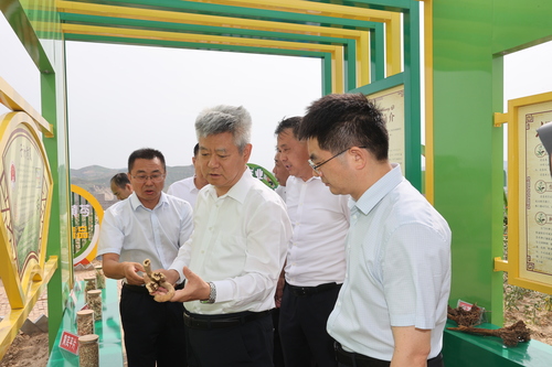 （8日6版 27，陕西，牢记嘱托 履职尽(6100935)-20250108135427(1)