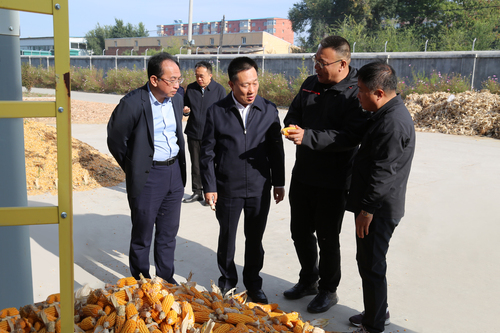 10日5版（35，长春）因地制宜发展农业(6116939)-20250110084107