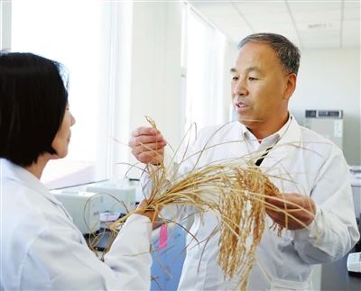 微信图片_20250114195224