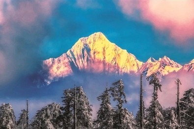 微信截图_20250115164632