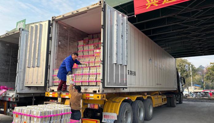 新春走基层丨“东南亚水果快线”开进不起眼的山区小城