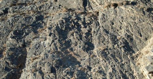 2025012161cf1c050692477aa4c1741f0a8d5e28_808b7459b4fb408db97bb0e6039f8a57