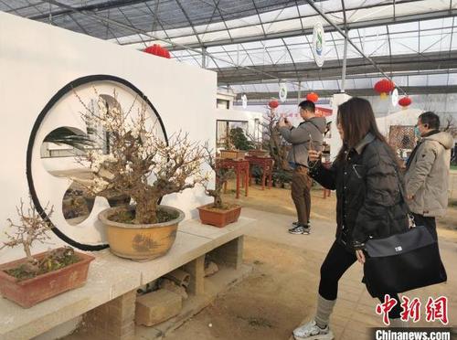 360截图20250126093147656