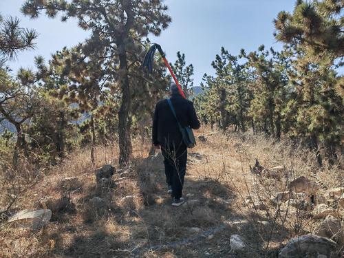 20250208d61de5a01e7b4d2ca6b8942bab803cf2_16b780a3af7144b684682b43c0af89e7