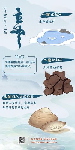 微信图片_20250211104904