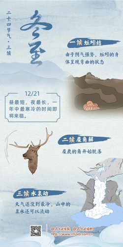 微信图片_20250211110333