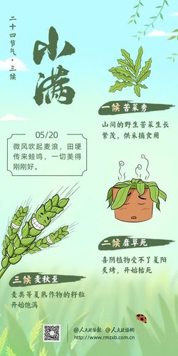 微信图片_20250211154332