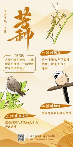 微信图片_20250211155600