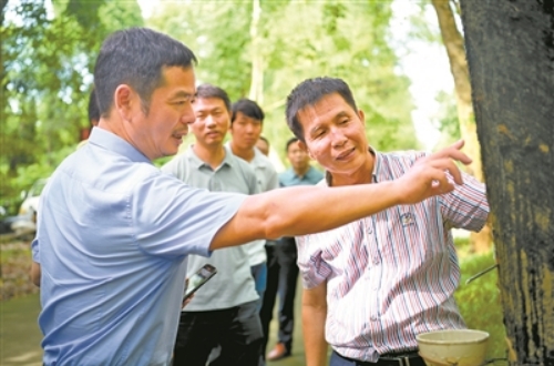 微信截图_20250220083453