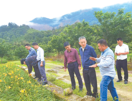 微信截图_20250222084054