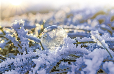 截图20250305090905