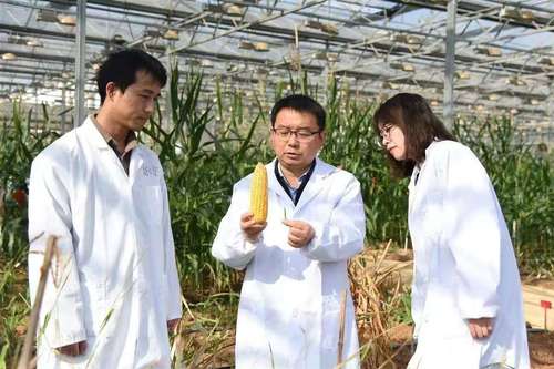 委员通道未完的故事，严建兵，工作照片(分(6554213)-20250305102623