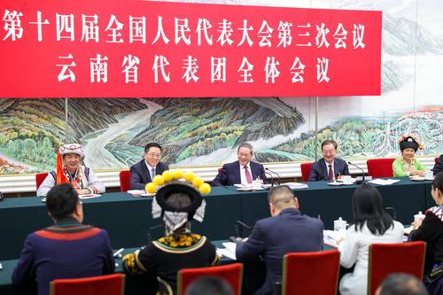 两会丨李强参加云南代表团审议(6584976)-20250306002202