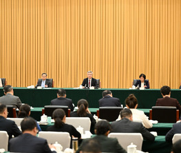 李希参加共青团和青联、总工会、妇联界委员联组会