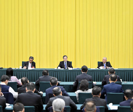 丁薛祥参加港澳地区全国政协委员联组会