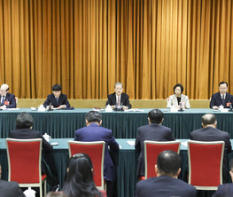 赵乐际参加致公党、侨联、对外友好界委员联组会