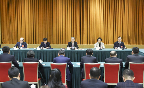 赵乐际参加致公党、侨联、对外友好界委员联组会