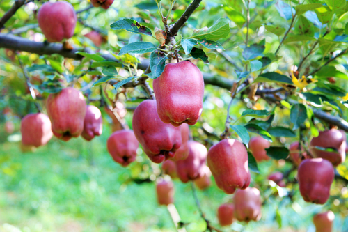 bc6b7b5b81f827d4680b5c5910a525e