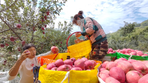 e353a5f1daa99ba01ab7de8b4c1fff6