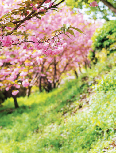 fcc4c2ba-d8cc-41dc-8f04-6e9e20a70b85 fcc4c2ba-d8cc-41dc-8f04-6e9e20a70b85