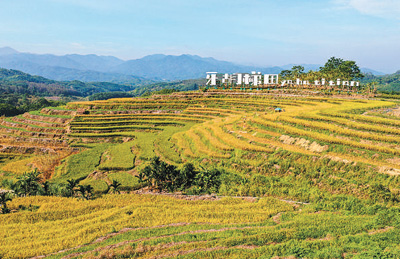 f54cbb9a-ccbf-4d70-a7df-f796a4d87a28