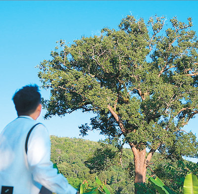 fdbc29b4-191f-4b57-a938-22b4e01d2786