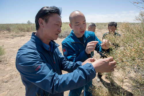 （416配稿）刘宏义：扎根戈壁，铸就绿色(7011941)-20250421085901