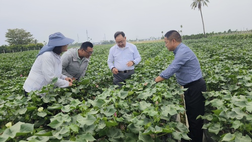 21日5版2  王威委员（右二）调研棉花(7032057)-20250421090925