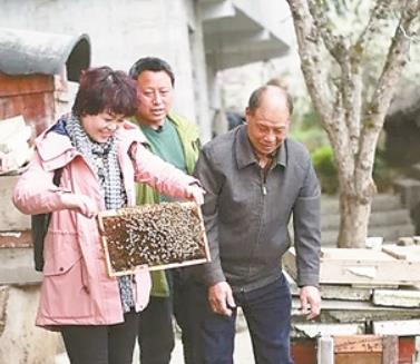 360截图20250515151132038