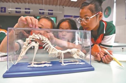 360截图20250522085232431