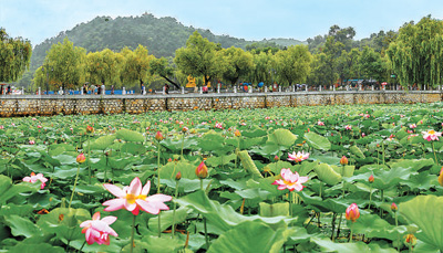 e74b58ef-e1c8-4669-8c50-e35f30893590