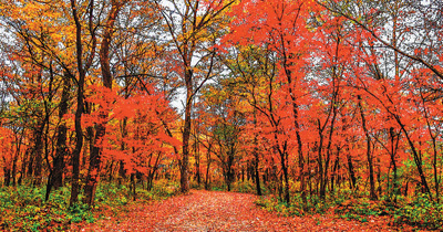 4034fb88-c933-40b1-acb2-4d95bc17e854