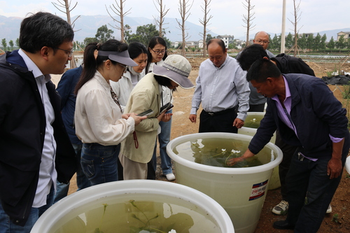 江苏民盟1(7400513)-20250607103600